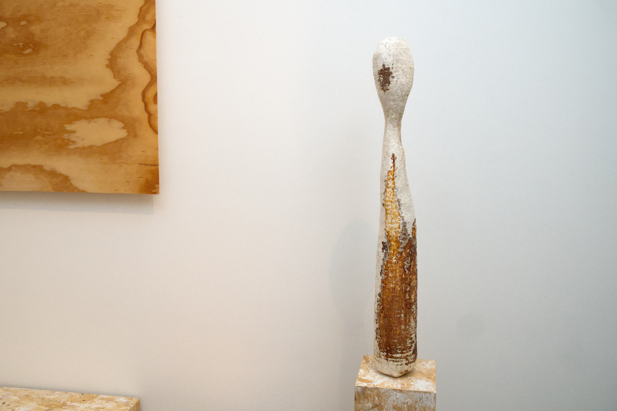 Mycelium texture on the surface of a Hyfen figure