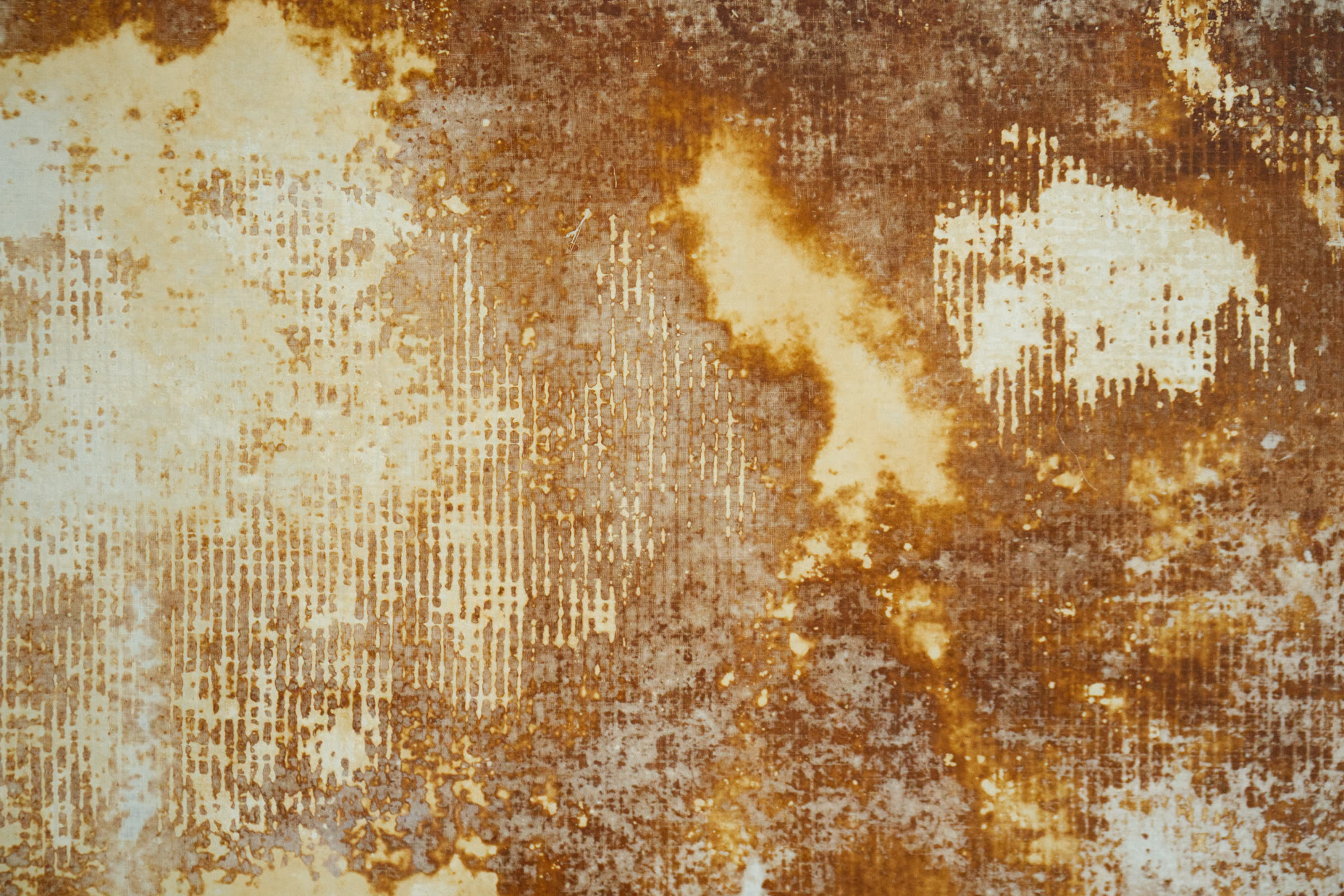 Grown mycelium surface pattern