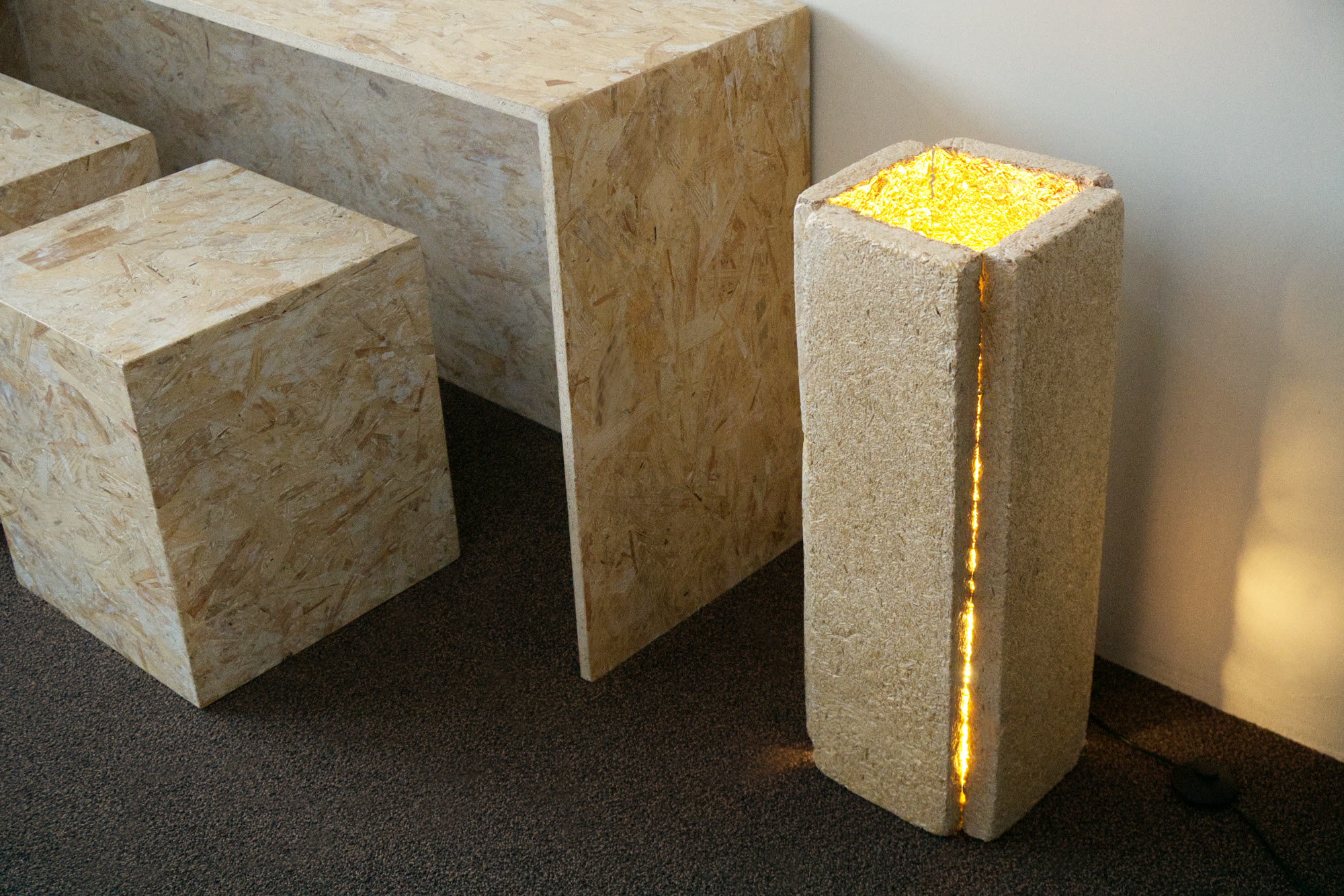 Floor lamp with mycelium shade