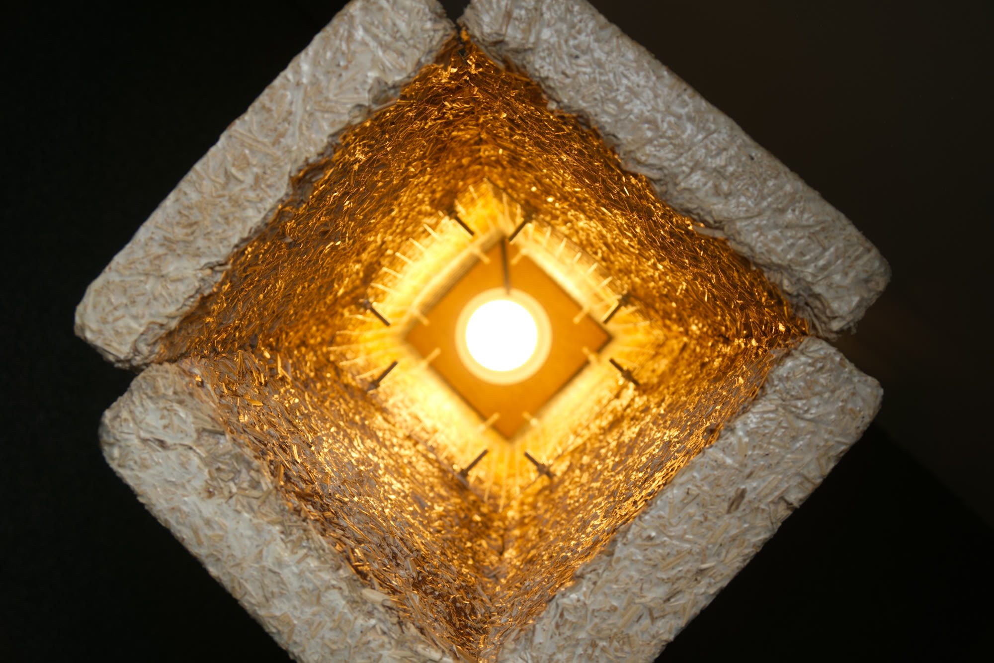 Inside of the mycelium lamp shade