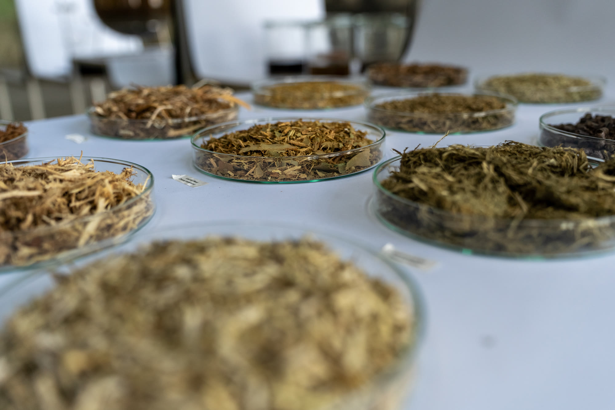 Petri dishes with dried plant fibres